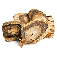 Butea Superba