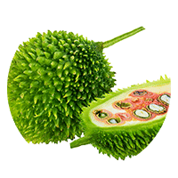 Momordica