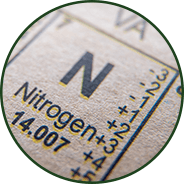 Liposomal AKG