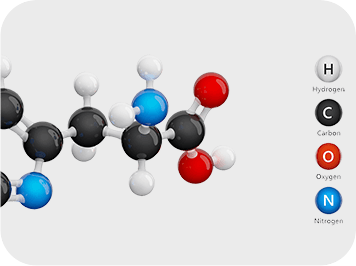 GenuinePurity Liposomal AKG