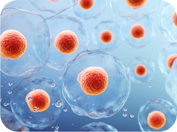 GenuinePurity Liposomal AKG