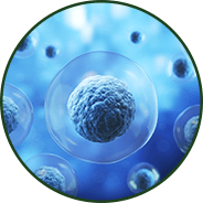 GenuinePurity LipoGenuinePurity Liposomal L-Glutathionesomal L-Glutathione