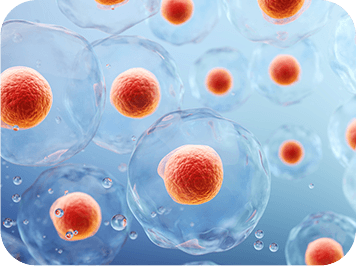 GenuinePurity Liposomal L-Glutathione