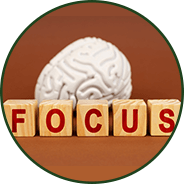 Cognitive Performance