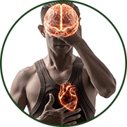 Brain & Heart Health