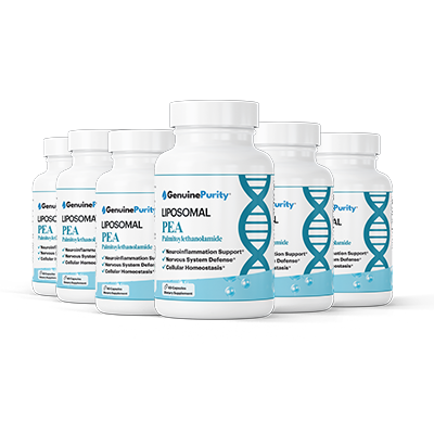 Liposomal PEA