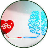 Heart, Brain, & Skin Wellness