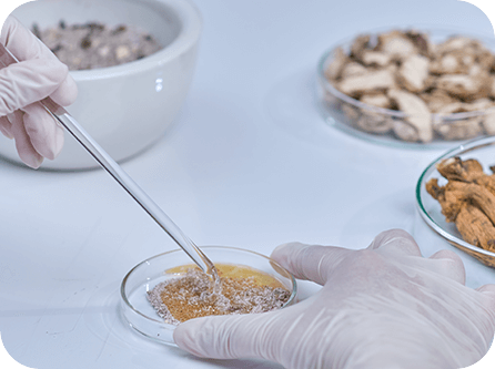 Clean, Responsible Formulation