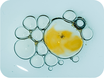 GenuinePurity Liposomal TMG