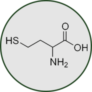 GenuinePurity Liposomal TMG