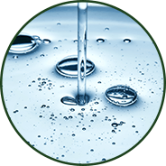 GenuinePurity Liposomal TMG