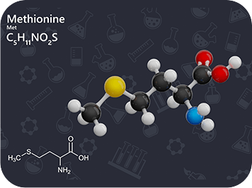 GenuinePurity Liposomal TMG