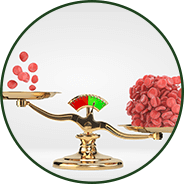 Blood Sugar Balance