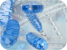 Defend Cellular Vitality