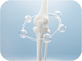 Bone & Joint Support