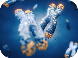 Cellular Longevity