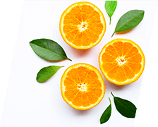PrimeGENIX Bone Complex - Vitamin C